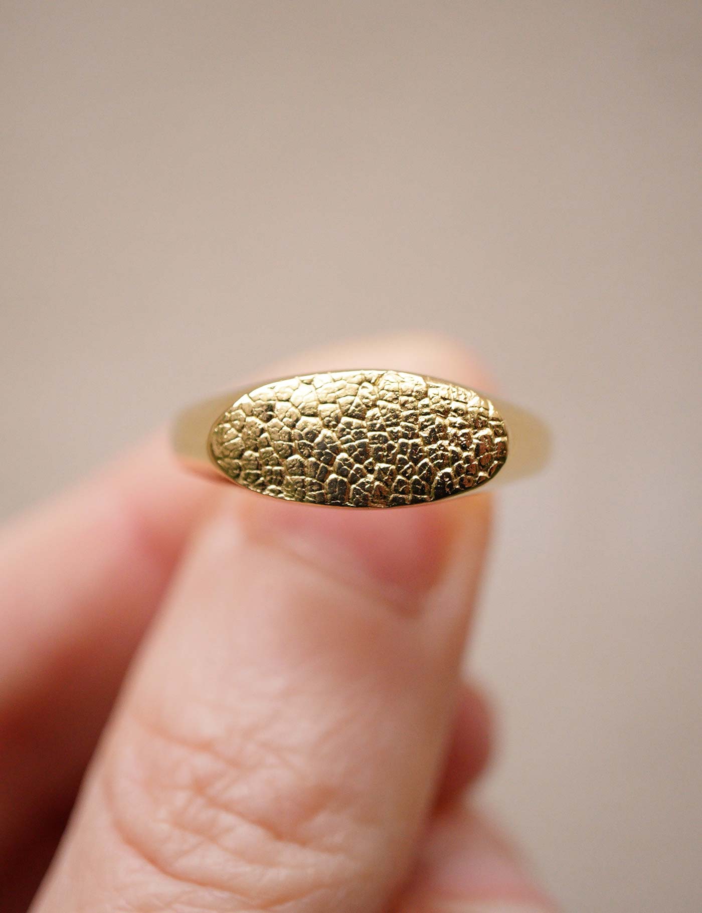 Capturez l'empreinte unique de la truffe de votre chien pour réaliser votre bague empreinte sur mesure